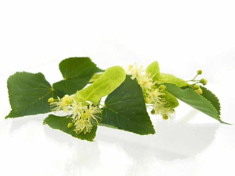 Tea Tree Essential Oil Soap Loaf - 2kg - Image 4