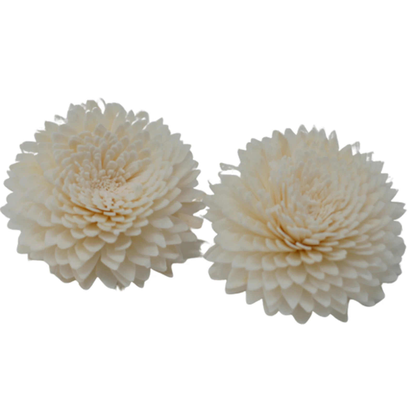 12 x Natural Diffuser Flowers - Lrg Carnation on String - Image 8