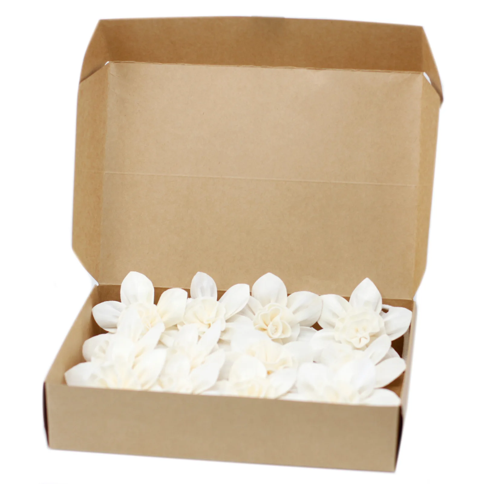 12 x Natural Diffuser Flowers - Lrg Lily on String