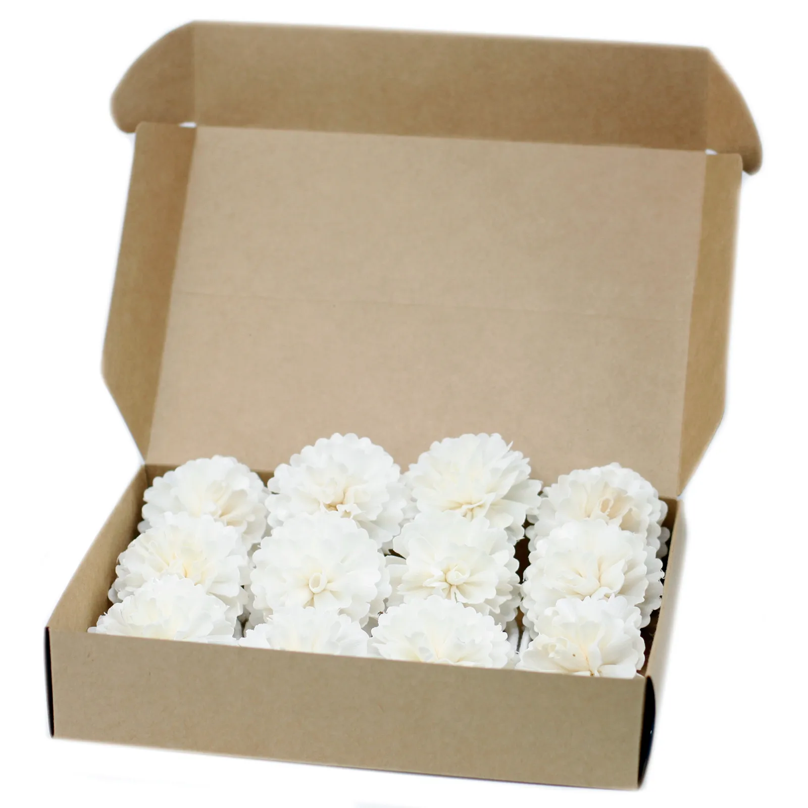 12 x Natural Diffuser Flowers - Med Carnation on String
