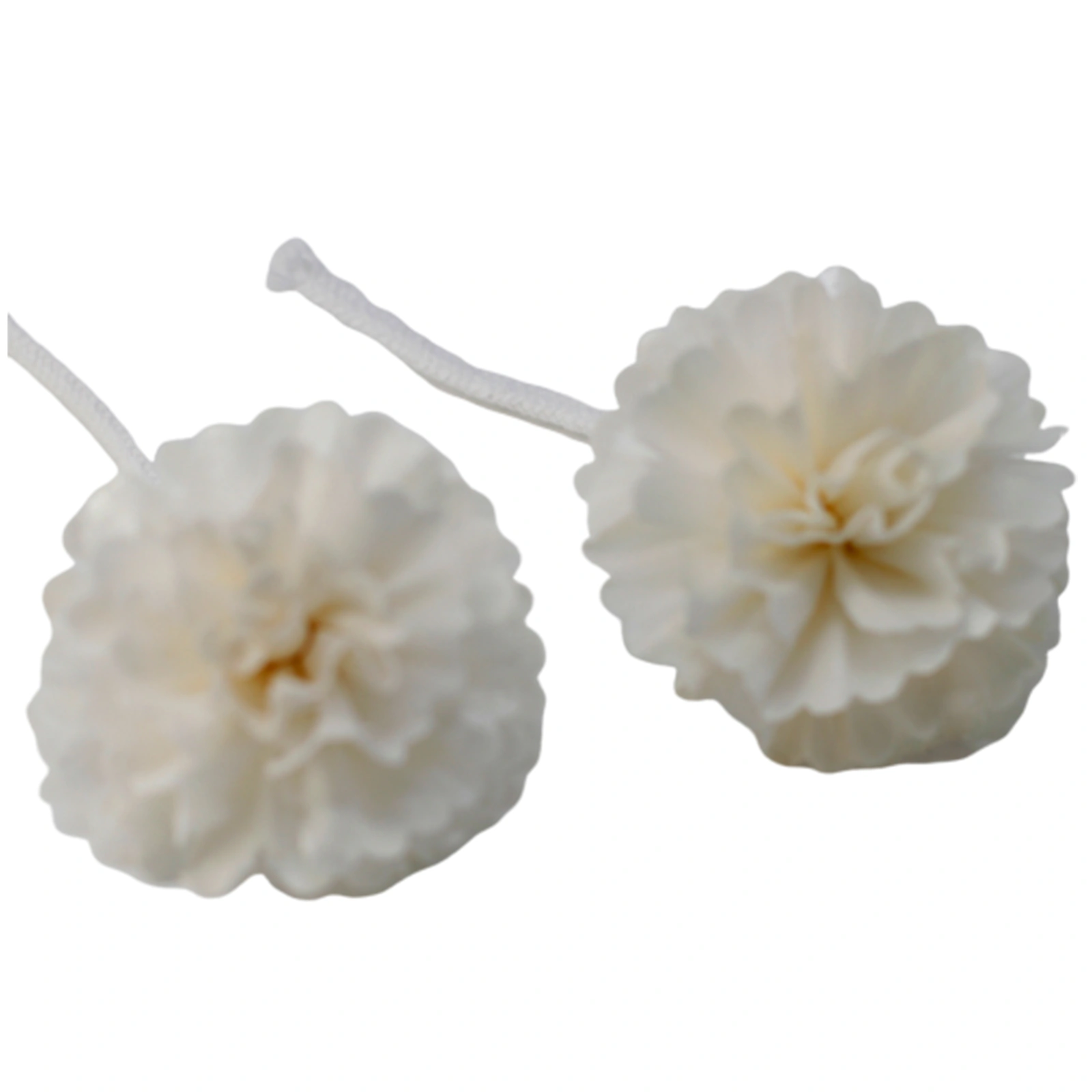 12 x Natural Diffuser Flowers - Med Carnation on String - Image 9