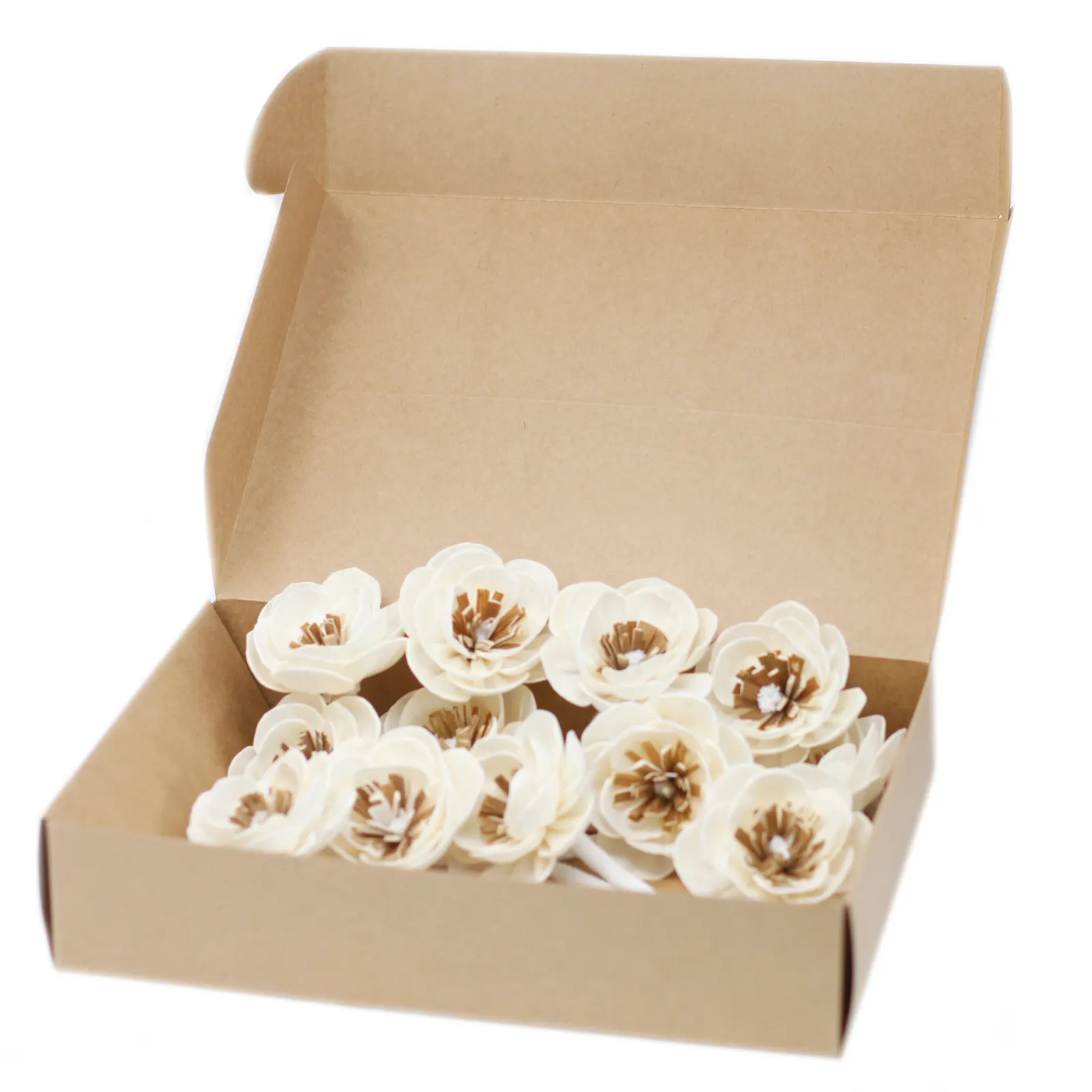 12 x Natural Diffuser Flowers - Small Poppy on String