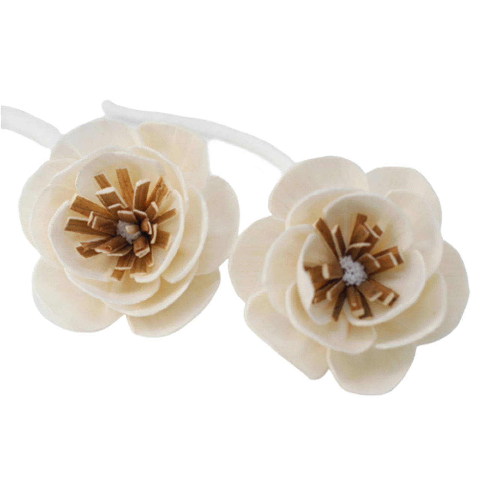 12 x Natural Diffuser Flowers - Small Poppy on String - Image 8