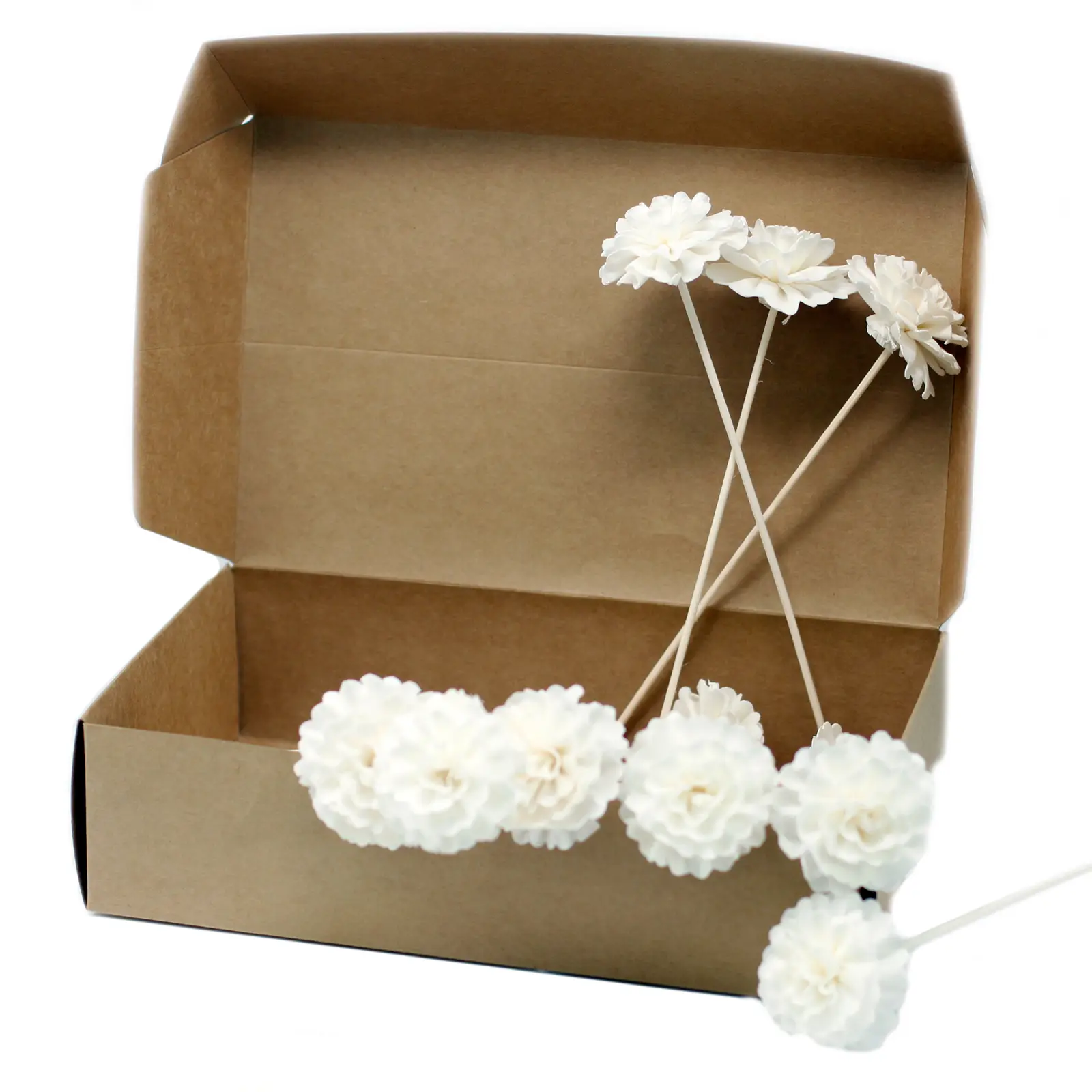 12 x Natural Diffuser Flowers - Carnation on Reed