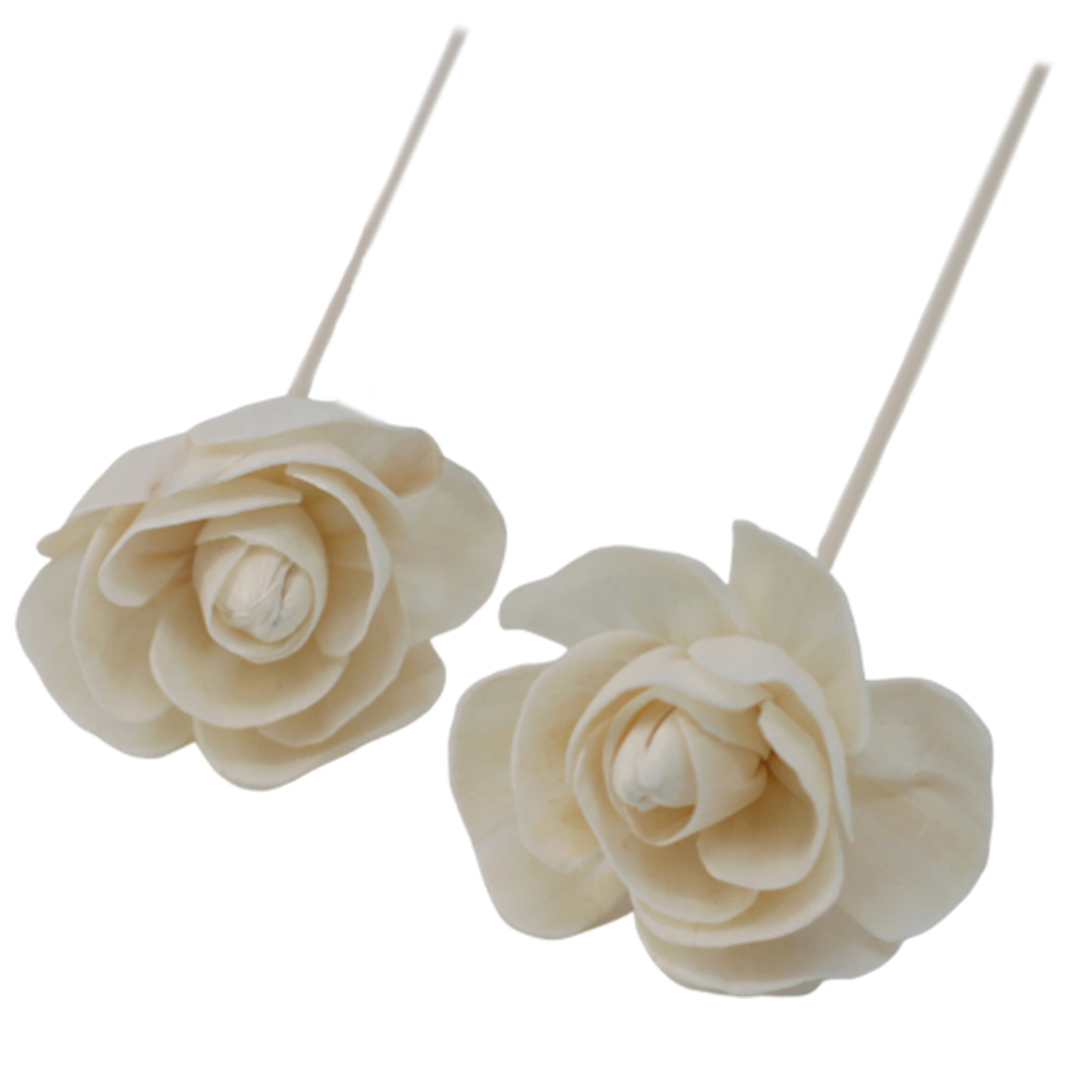 12 x Natural Diffuser Flowers - Rose on Reed - Image 9