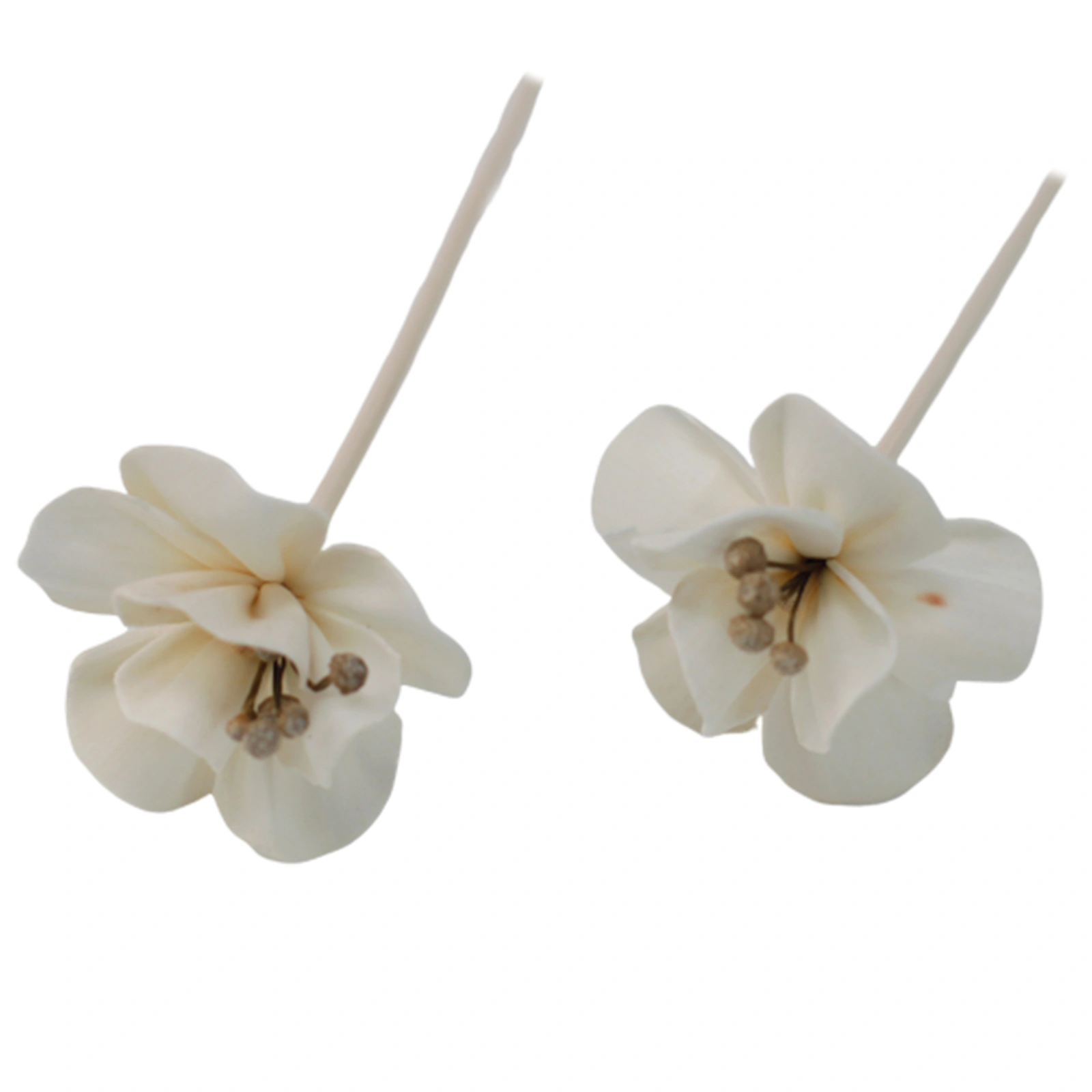 12 x Natural Diffuser Flowers - Lily on Reed - Image 10