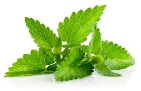 Tea Tree & Peppermint - Argan Solid Shampoo Loaf - Image 3