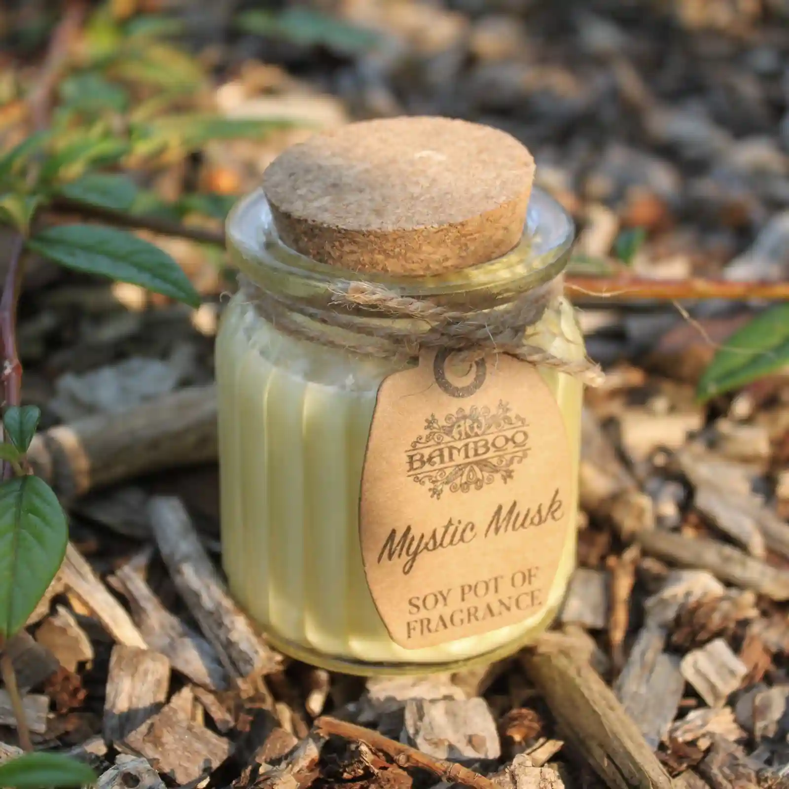 2x Mystic Musk Soy Pot of Fragrance Candles - Image 3