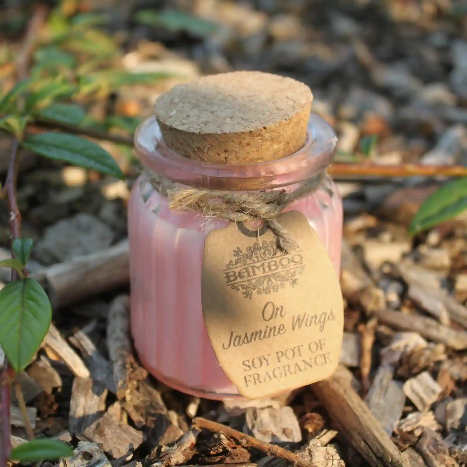 2x On Jasmine Wings Soy Pot of Fragrance Candles - Image 3