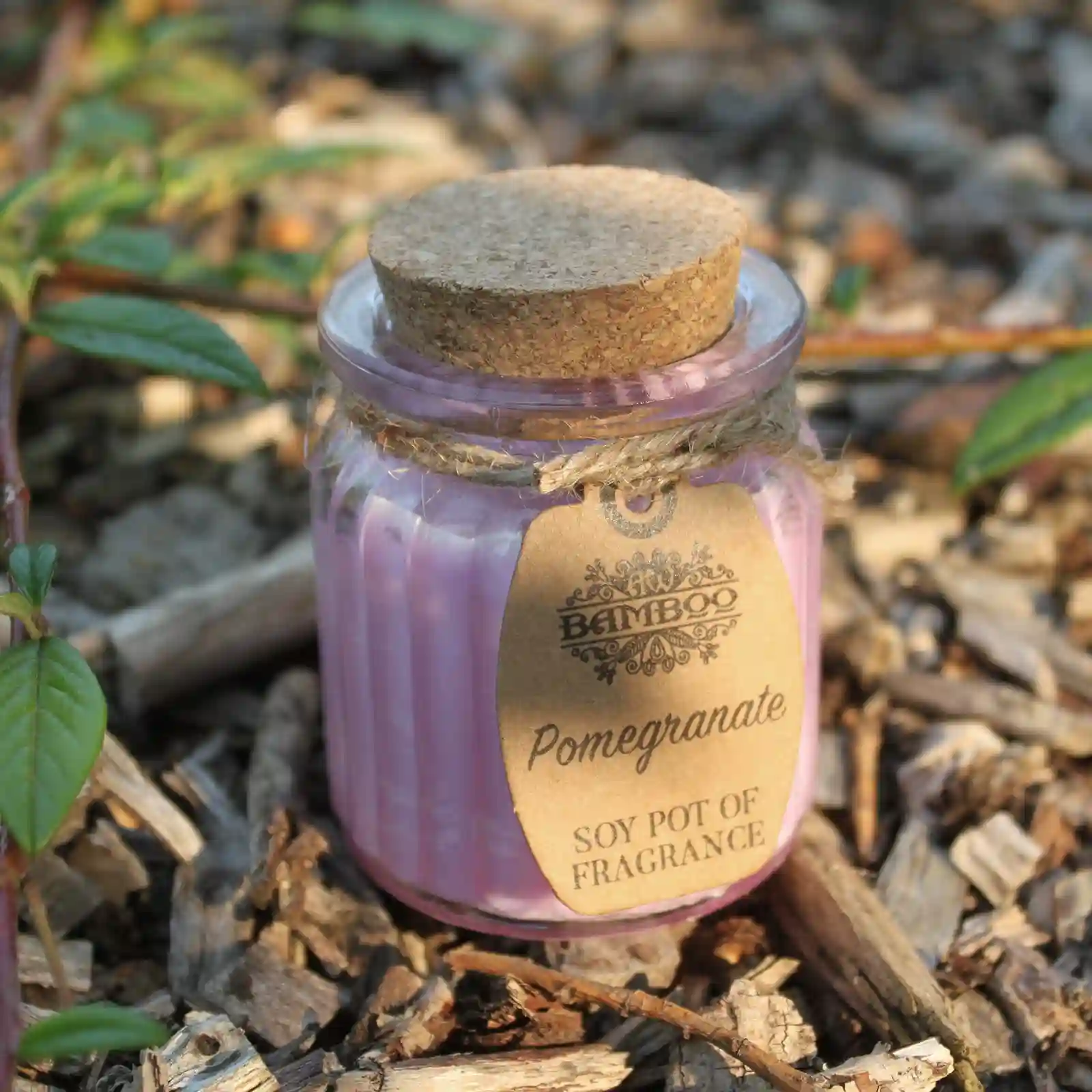 2x Pomegranate Soy Pot of Fragrance Candles - Image 3