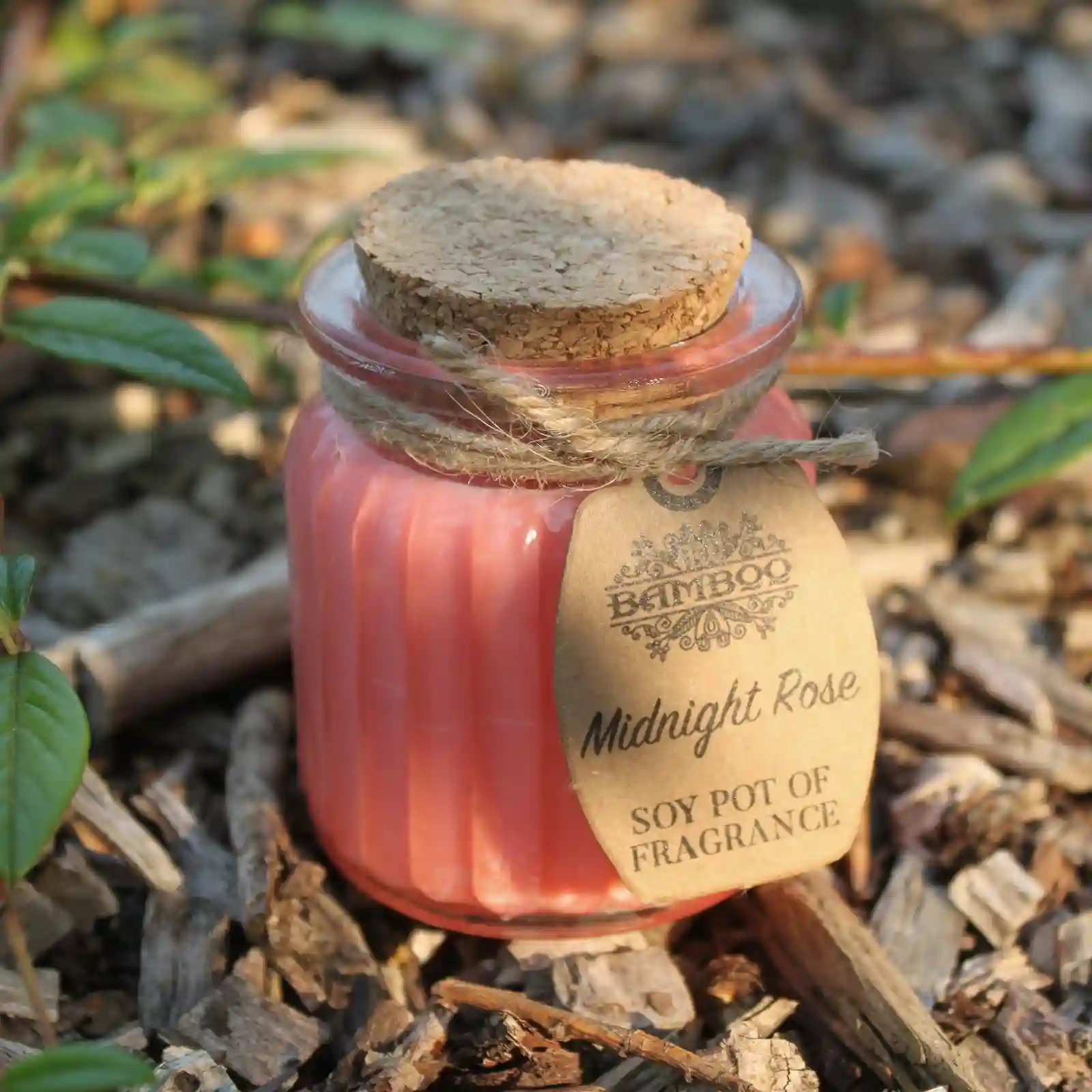 2x Midnight Rose Soy Pot of Fragrance Candles - Image 3